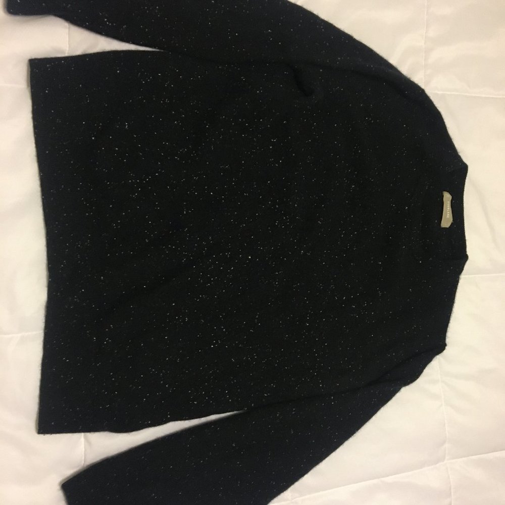 Everlane cashmere sweater